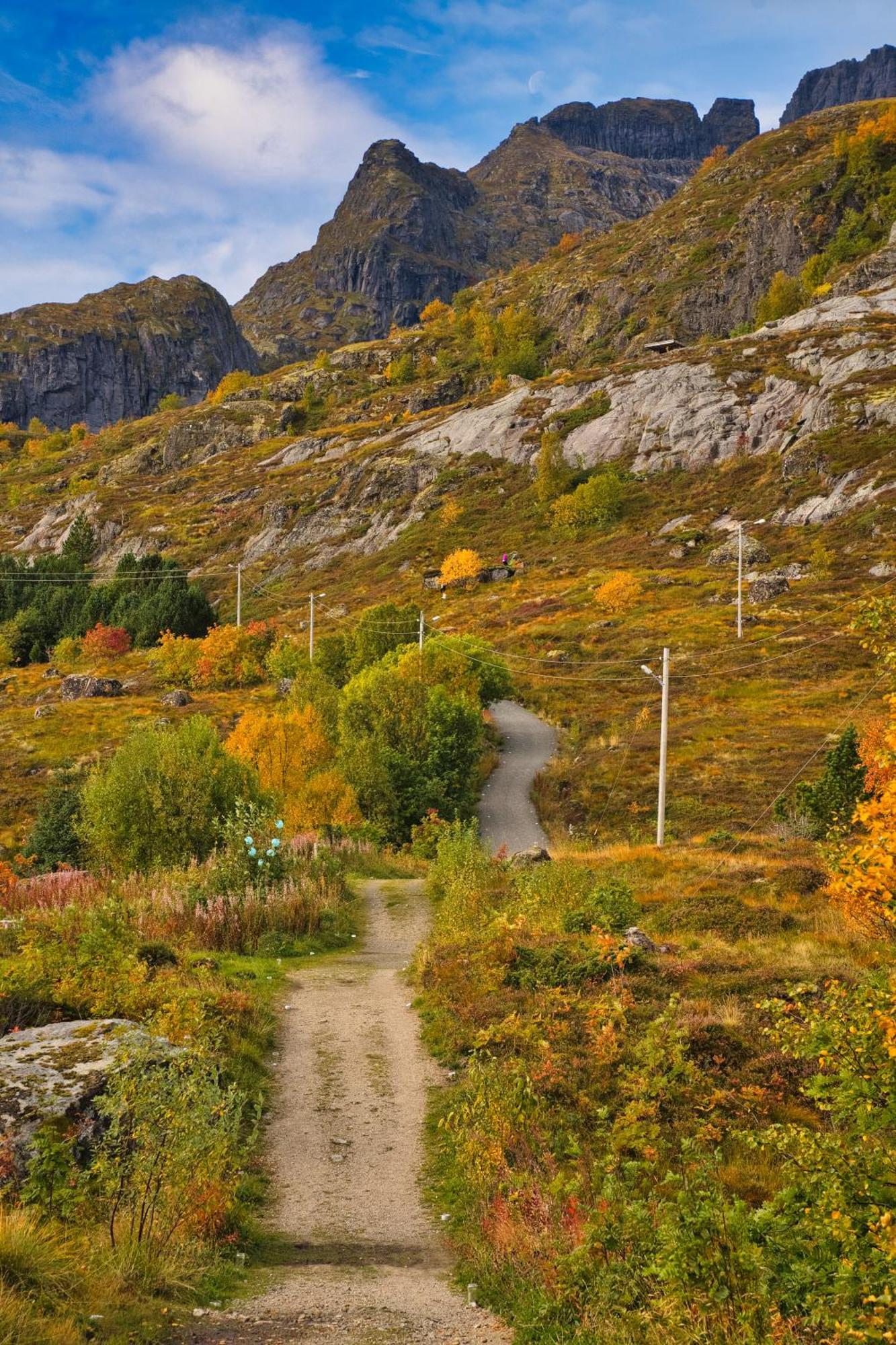 Lofoten Planet Studio Сьорвоген Екстер'єр фото